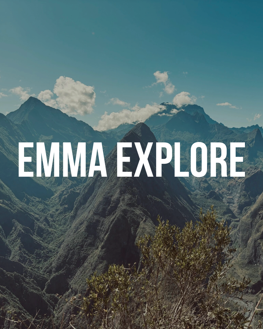 Conception, Branding et Développement Web